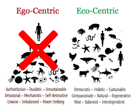 Core Holistic Philosophy - GaiaVerso