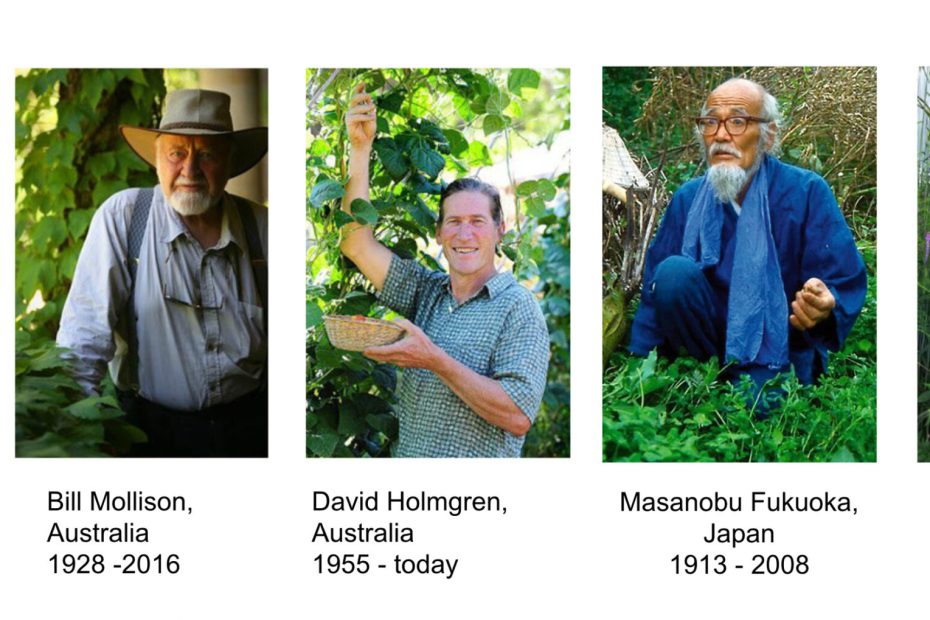 Permaculture Knowledge