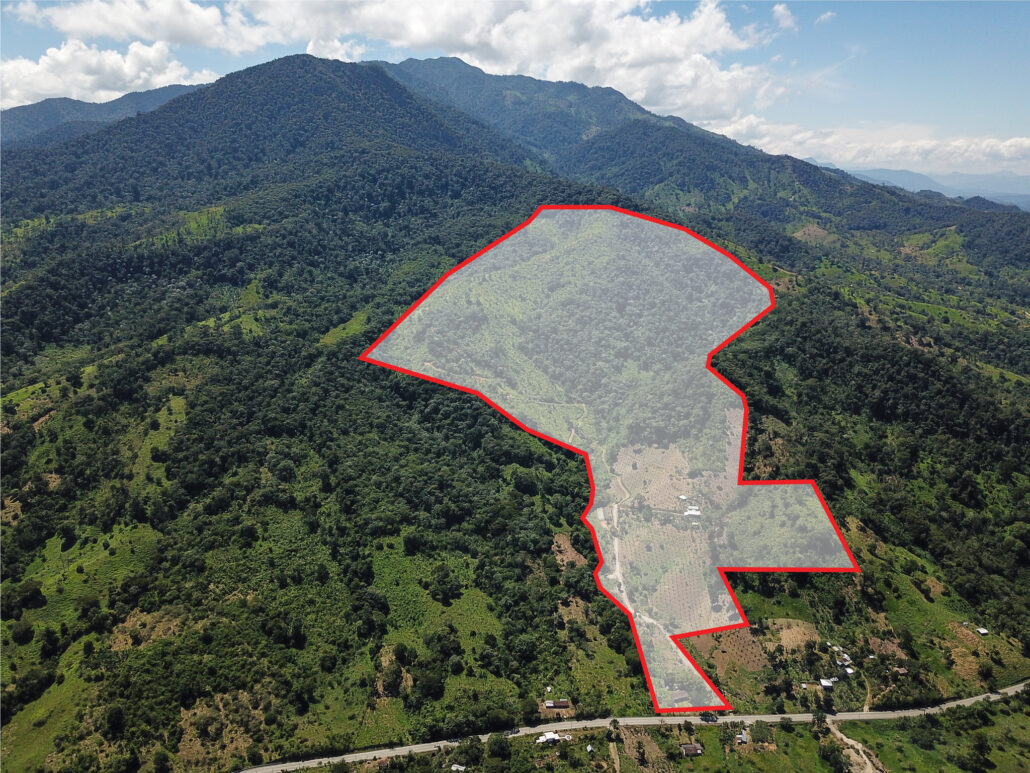 Drone Photography
3D Aerial Drone Photography of the Total Farm area highlighting the farm boundaries red.